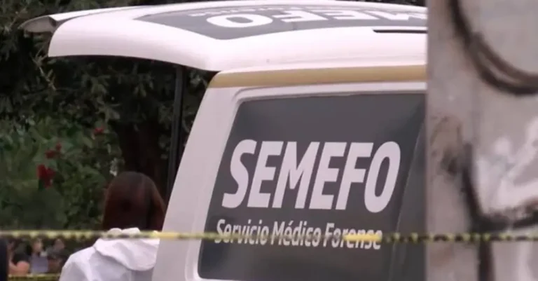 Joven cae de un árbol y muere en Xalapa