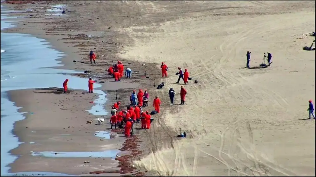 Playas de Veracruz están limpias tras derrame de petróleo: Rocío Nahle