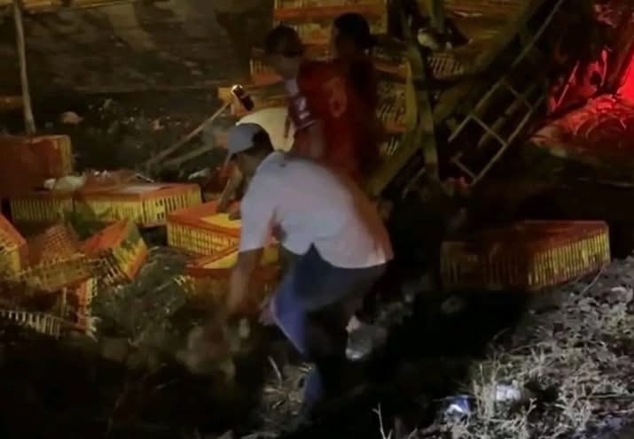 Rapiña de pollos tras accidente en la Paso del Toro-Alvarado.