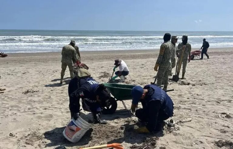 Playas de Veracruz estarán en condiciones óptimas en Semana Santa tras derrame de petróleo, asegura la gobernadora Rocío Nahle
