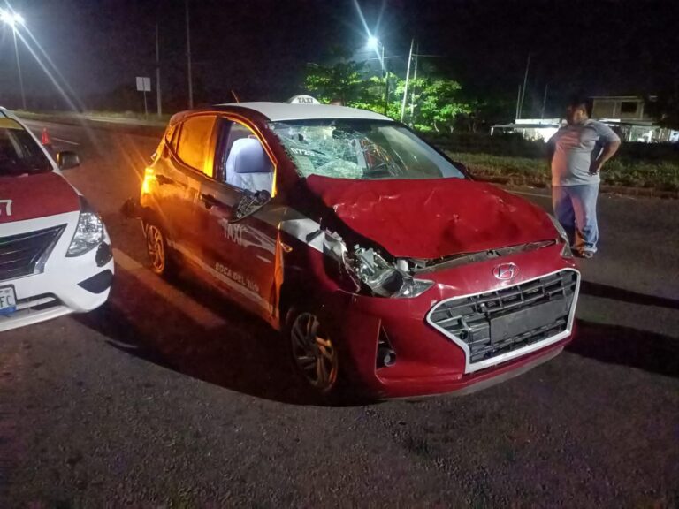 Choca con una vaca, denuncia y nadie responde por los daños 😡
