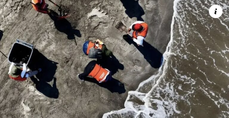 Advierten que daños por derrame de petróleo en el Golfo durarían décadas