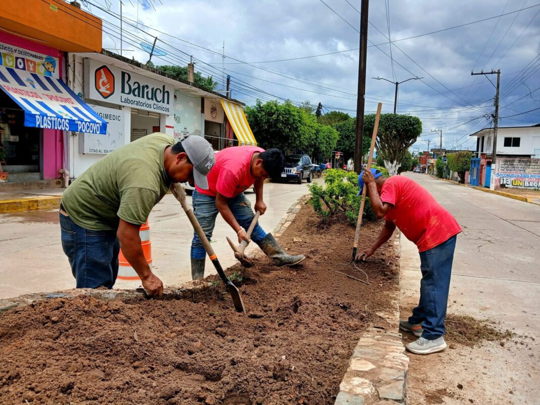Continúan trabajos de mejoramiento de imagen urbana en el municipio de Soconusco