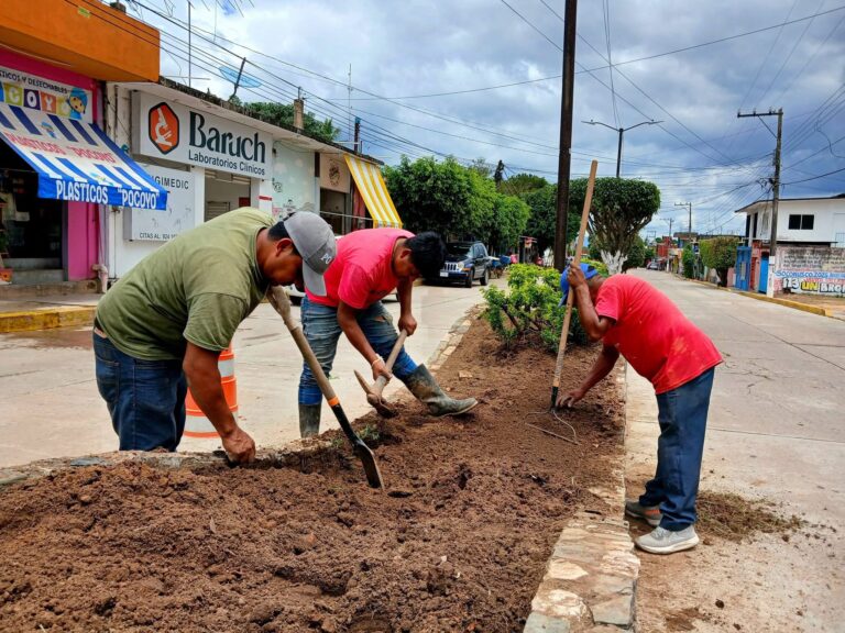 Continúan trabajos de mejoramiento de imagen urbana en el municipio de Soconusco
