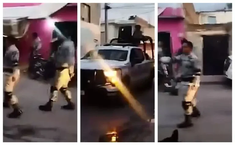 Guardia Nacional balea a un perro durante riña con civiles en Guanajato