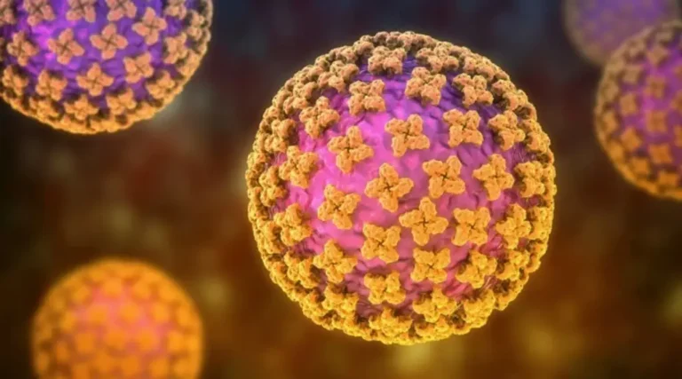 Caso sospechoso de hantavirus da positivo y eleva a 6 los enfermos confirmados: OMS